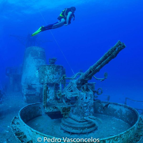Diving Trips on Madeira Island - Image 7