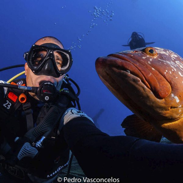 Divemaster course - Image 3
