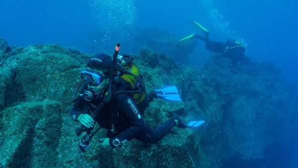 Ecological Diving course - Image 2