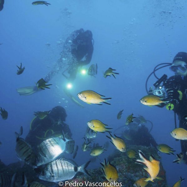 Advanced Open Water Course - Image 3