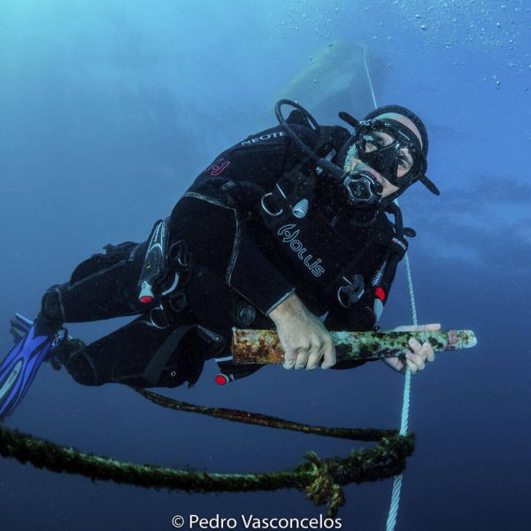 Open Water Instructor Course - Image 2