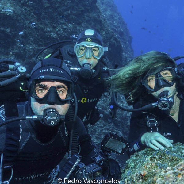 Diving Trips on Madeira Island - Image 6