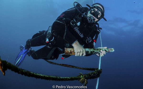 Diver Stress & Rescue Course - Image 2