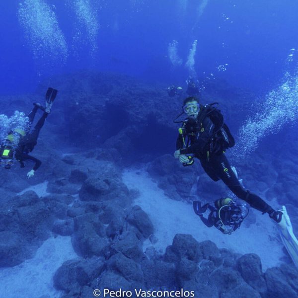 Dive Guide course - Image 3