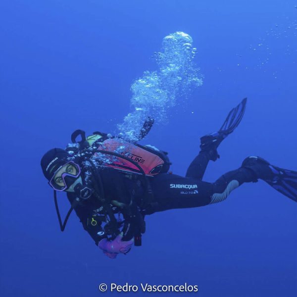 Try Scuba Diving / Basic Diver - Image 2