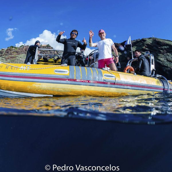 Diving Trips on Madeira Island - Image 3