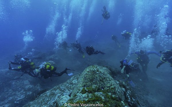 Ecological Diving course