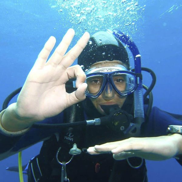 Diving Trips on Madeira Island - Image 8