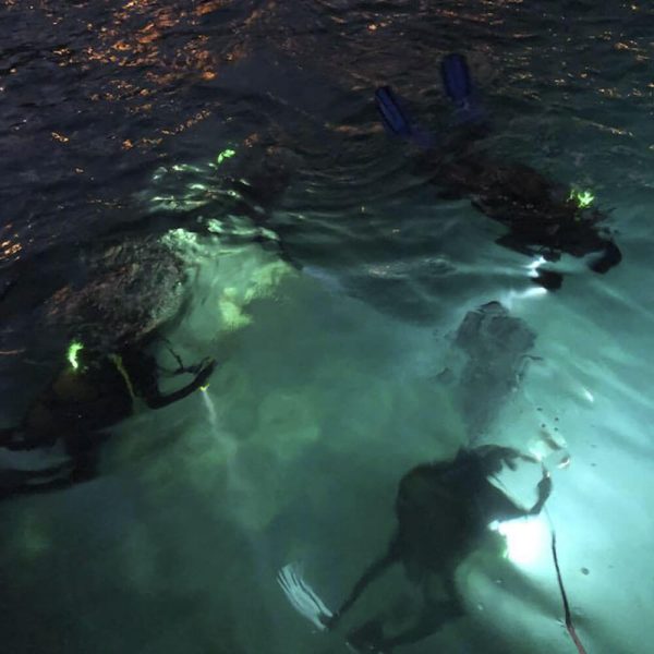 Night & Limited Visibility Course - Image 2