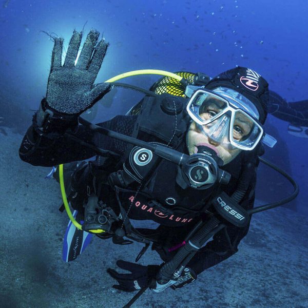 Diving Trips on Madeira Island - Image 4