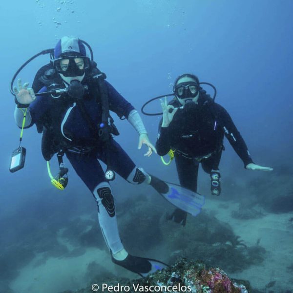 Assistant Instructor Course - Image 2