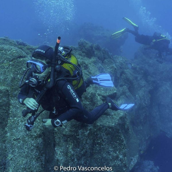 Dive Guide course - Image 4