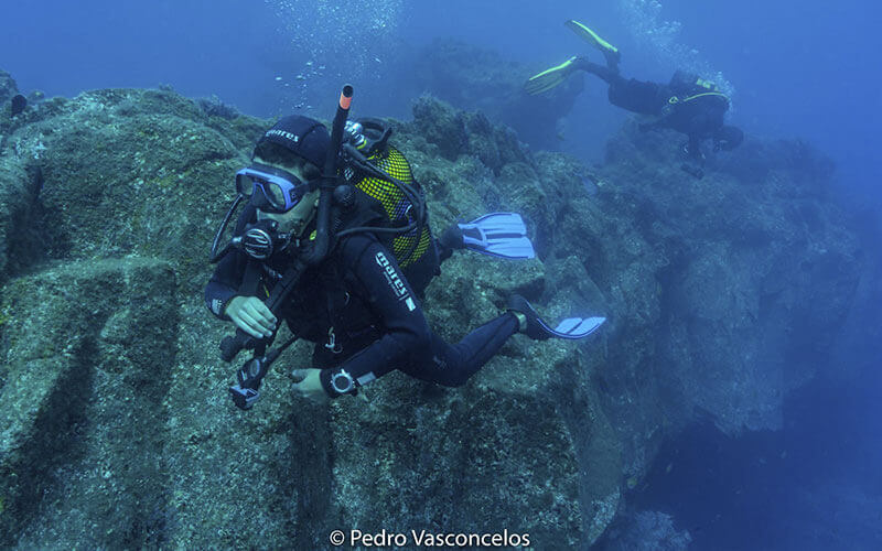 Search & Recovery Course