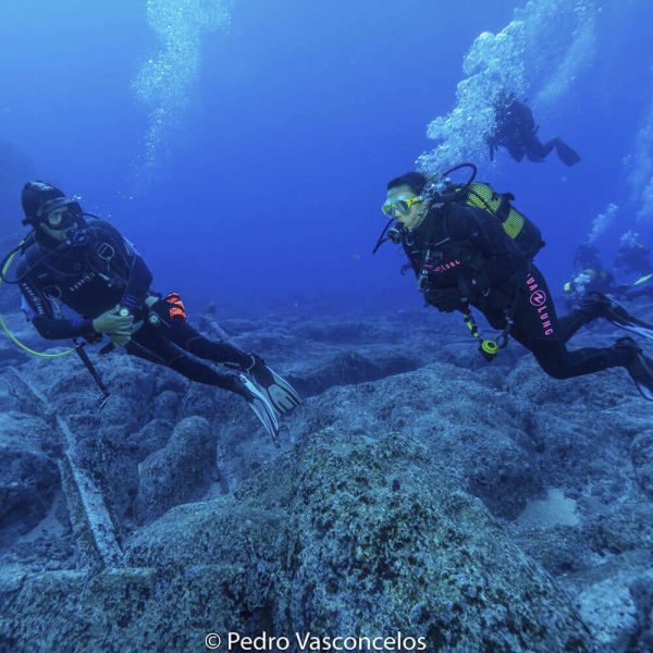 Ecological Diving course - Image 3