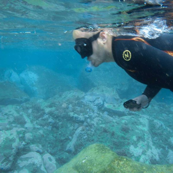 Snorkelling on Madeira Island