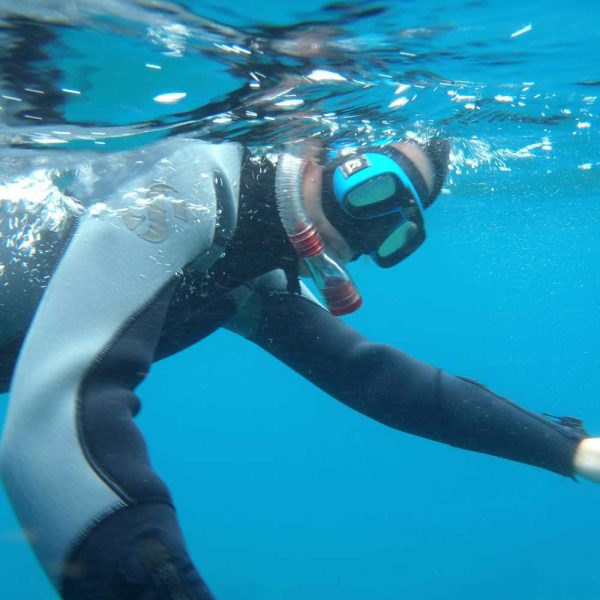 Snorkelling on Madeira Island - Image 3