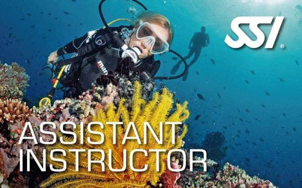 Assistant Instructor Course