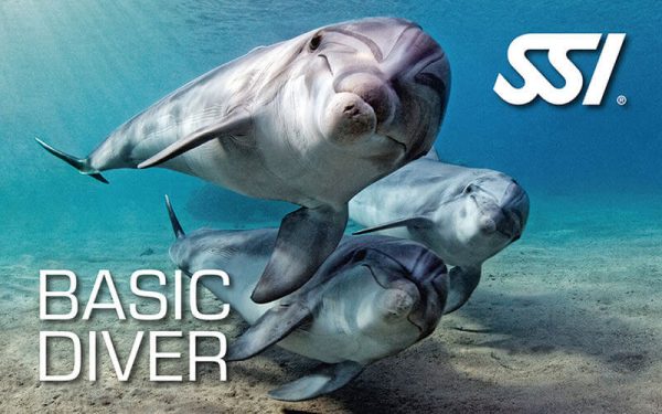 Try Scuba Diving / Basic Diver