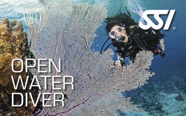 Open Water Diver Course