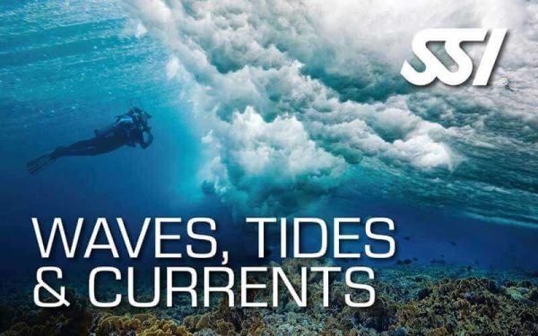 Waves Tides & Currents course